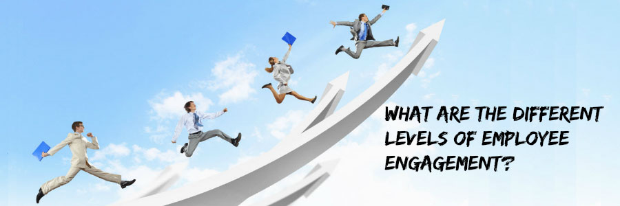 Levels of employee engagement