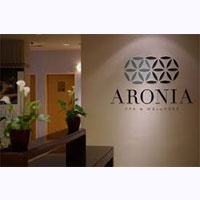 r250_health_spa_voucher_aronia_day_spa_545155011